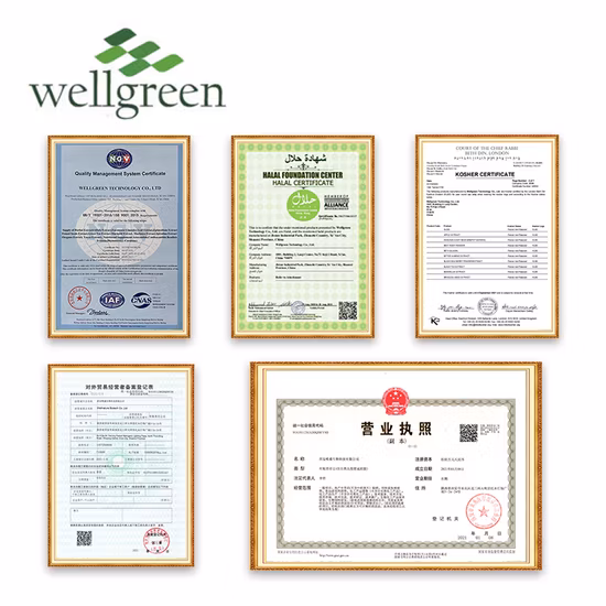 Wellgreen USP グレード コレカルシフェロール ビタミン D3 パウダー サプリメント